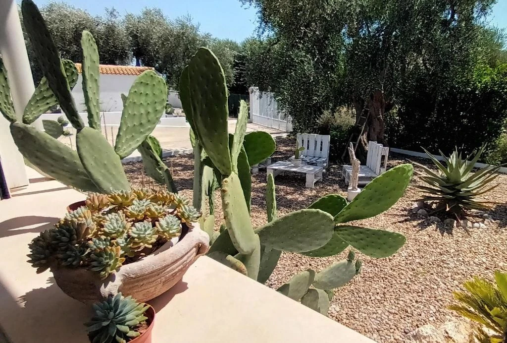 B&b Sperlonga-2
