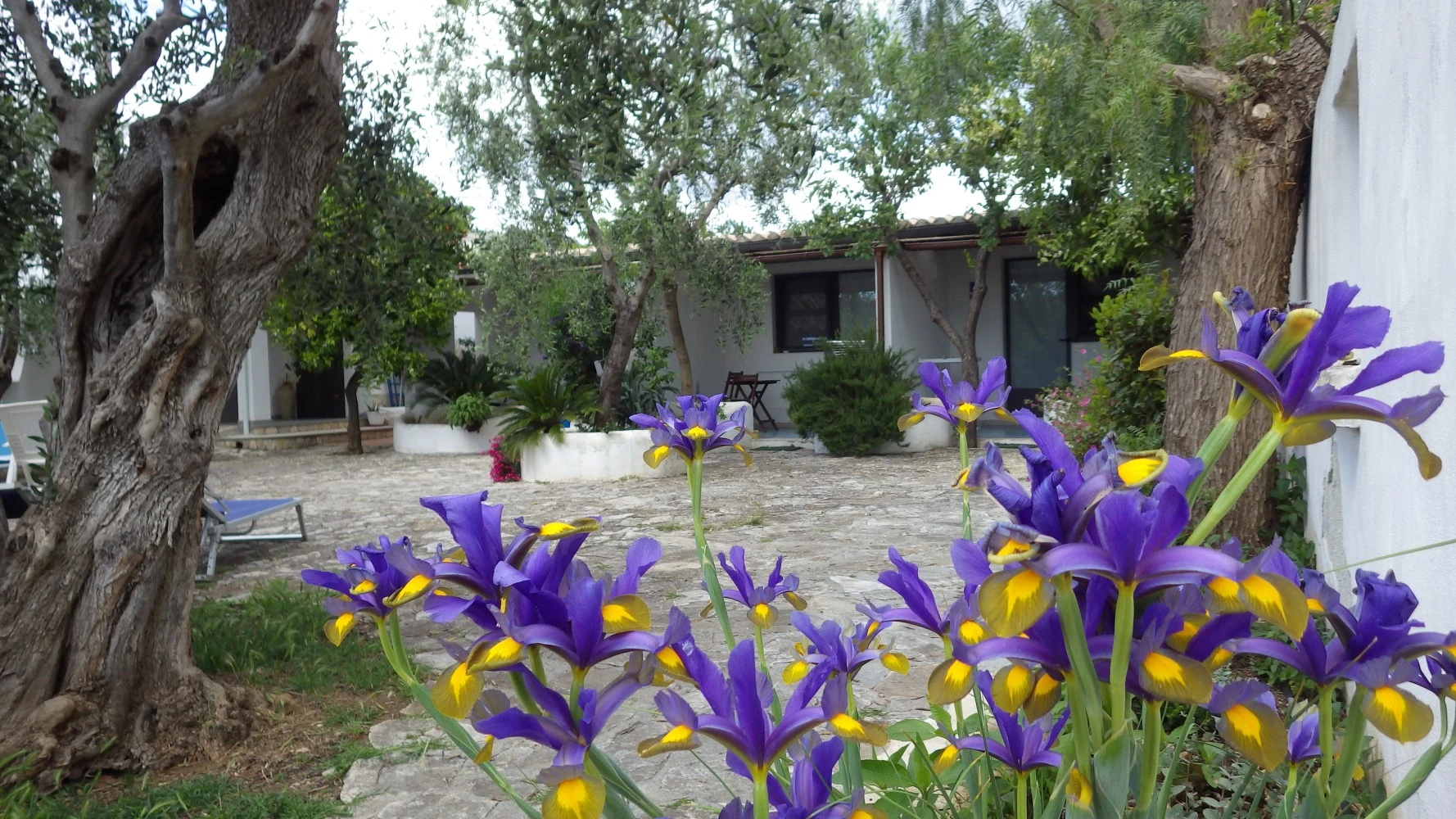 B&b Masseria Liberatore-1