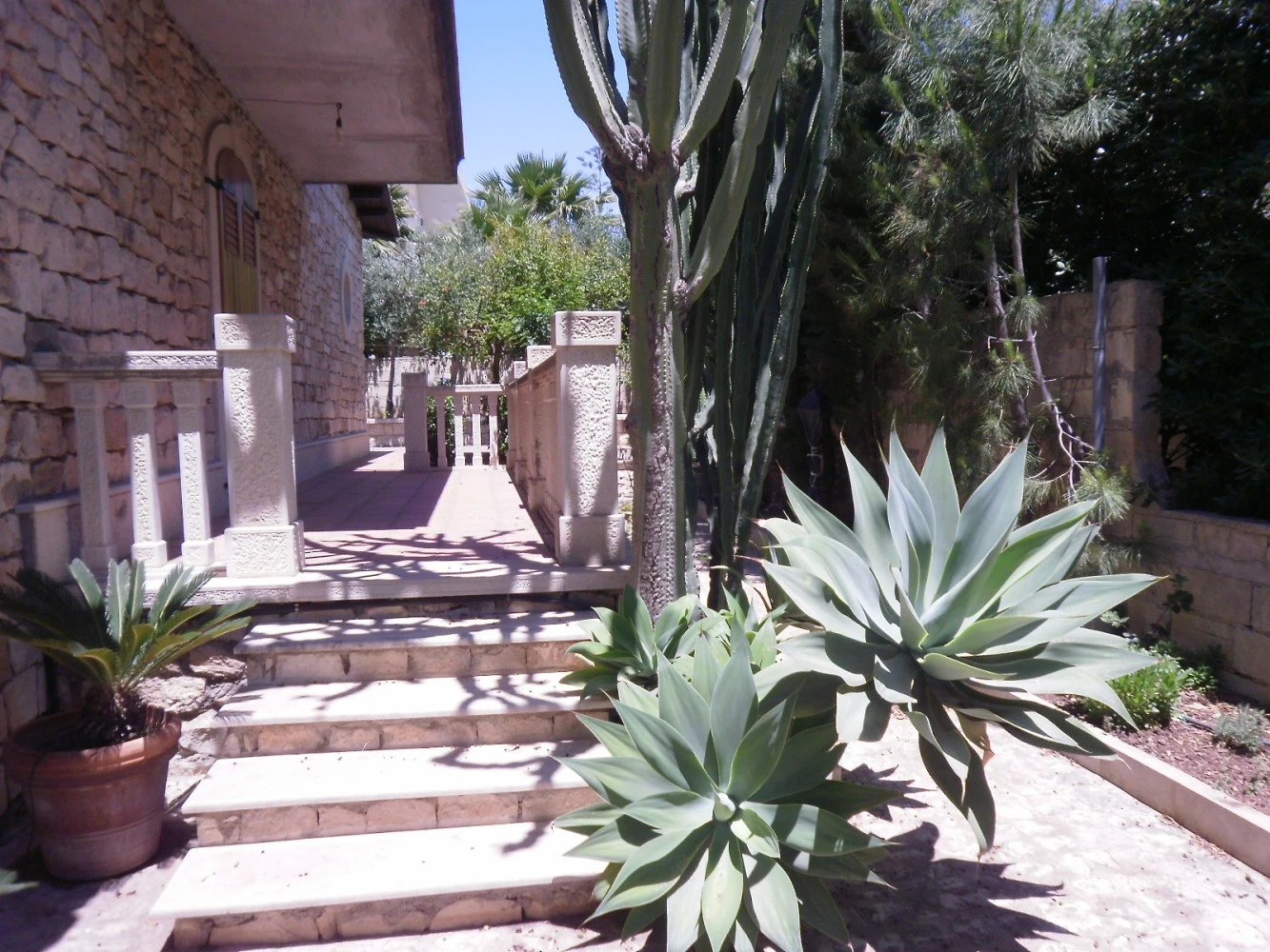 Casa Romano-1