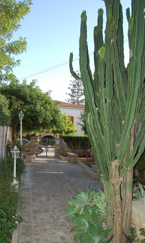 Casa Romano-4