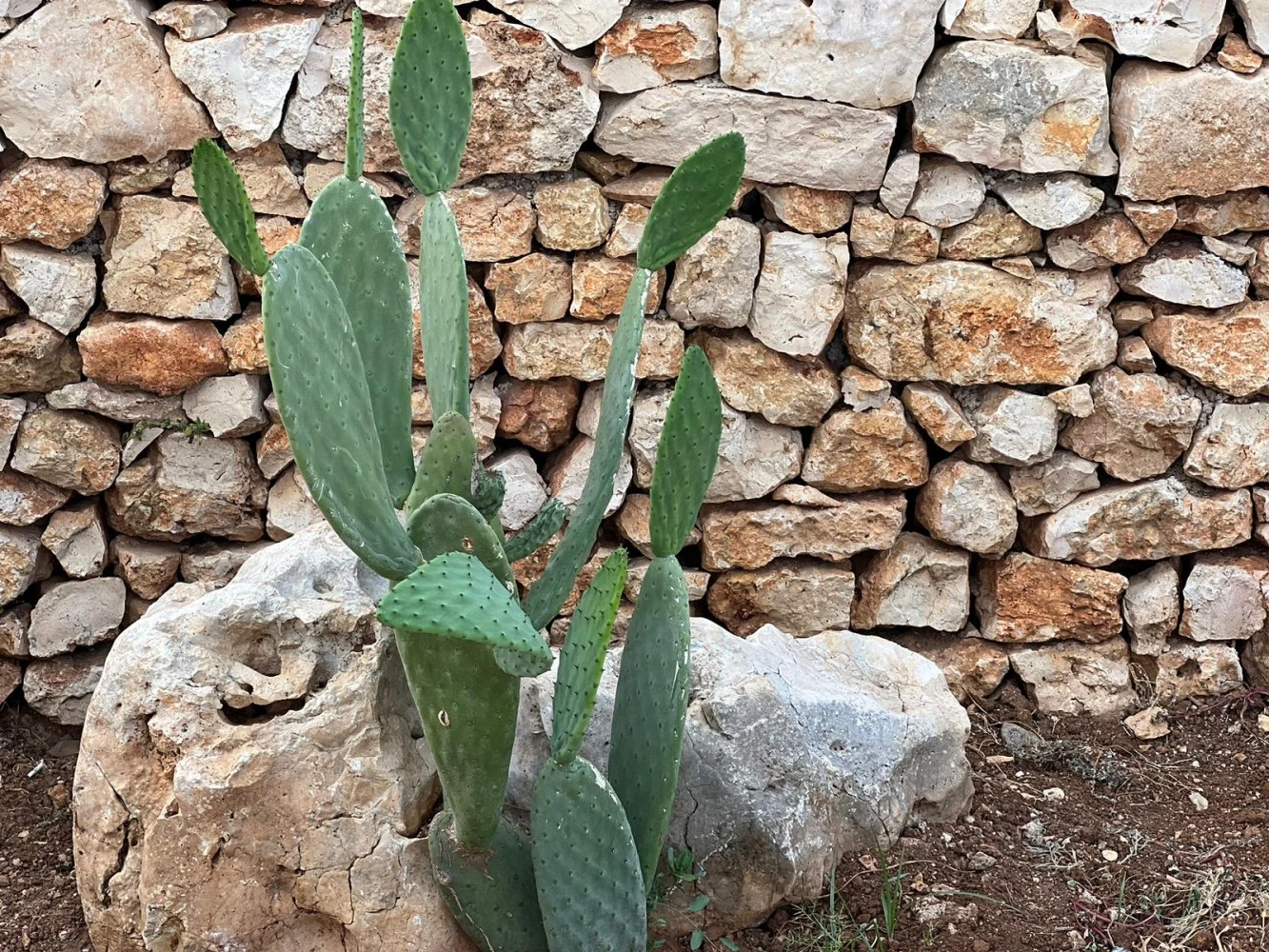 Dimora Caraspi-4