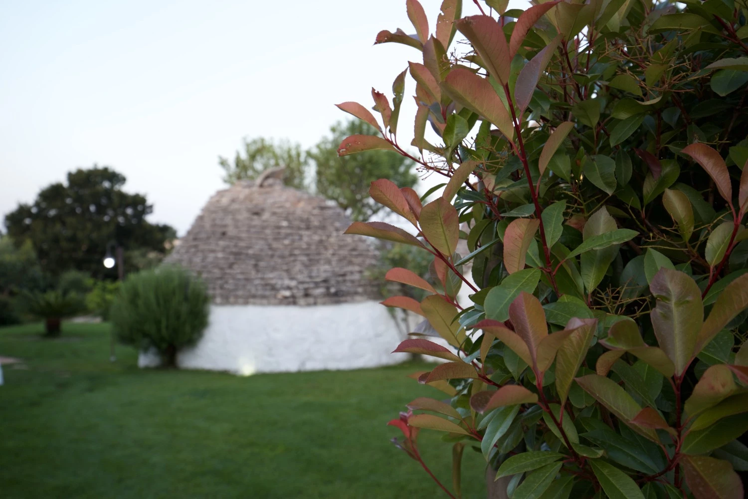 B&b Tenuta Ranieri-2