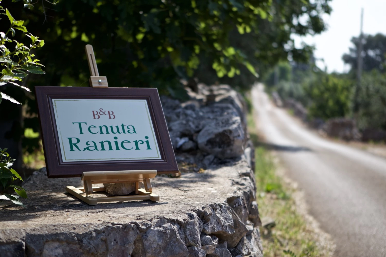 B&b Tenuta Ranieri-3