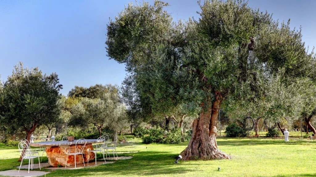 Trulli Rosalinda-3