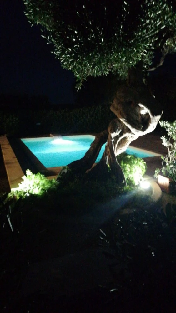 Villa Alessandra-2