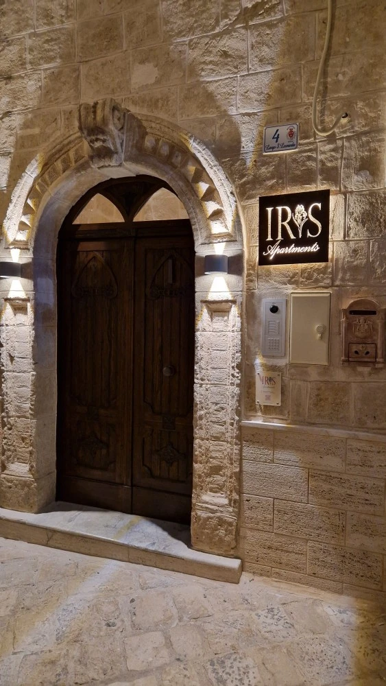 Iris-1