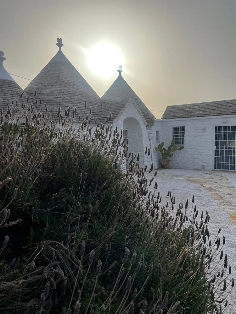 Trulli Biancopumo-5