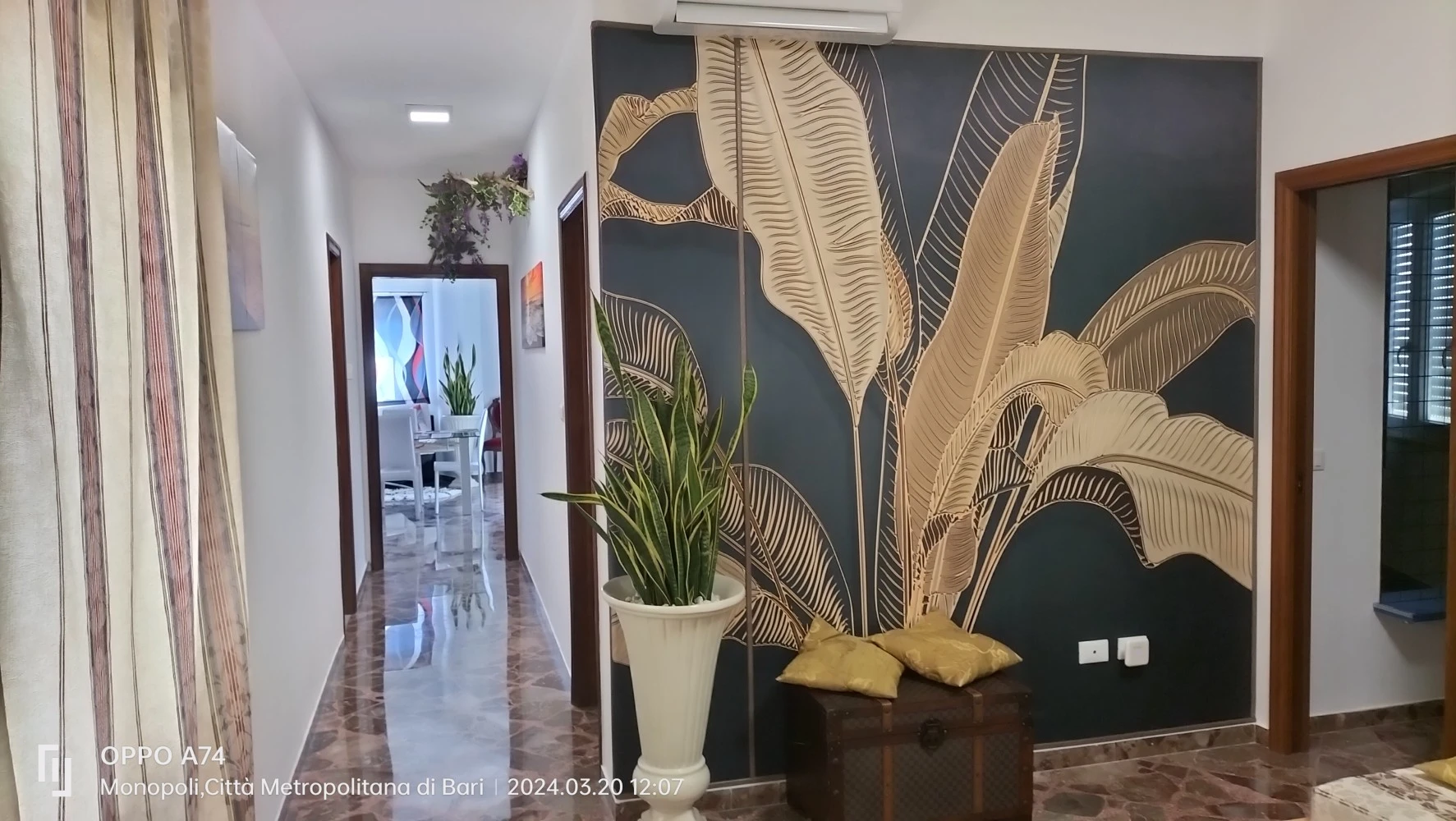 Domus Divina & Domus Elegans-1