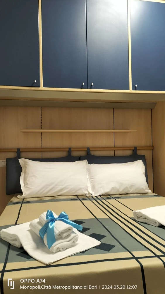 Domus Divina & Domus Elegans-3