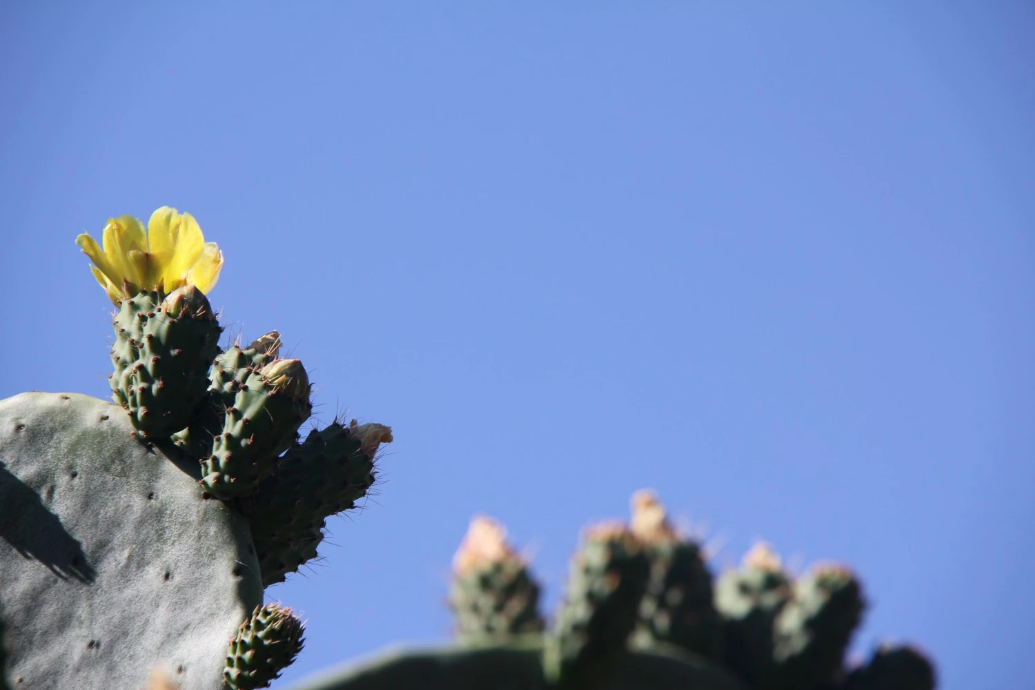 Trullo Marte-4