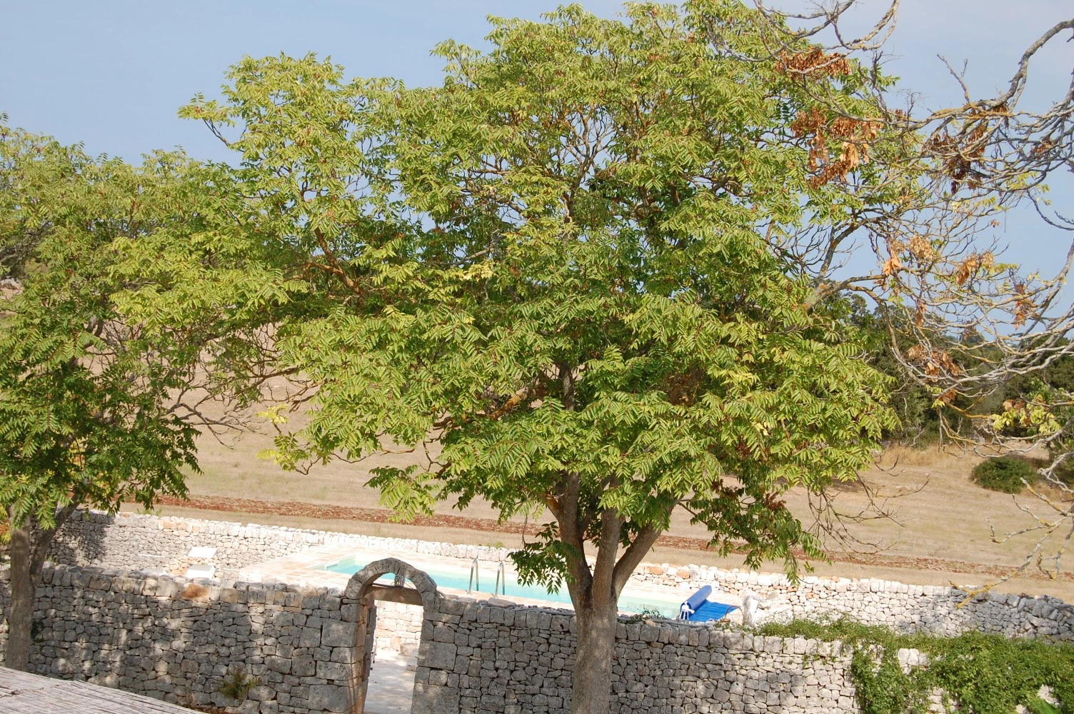 B&b Masseria Santanna-4