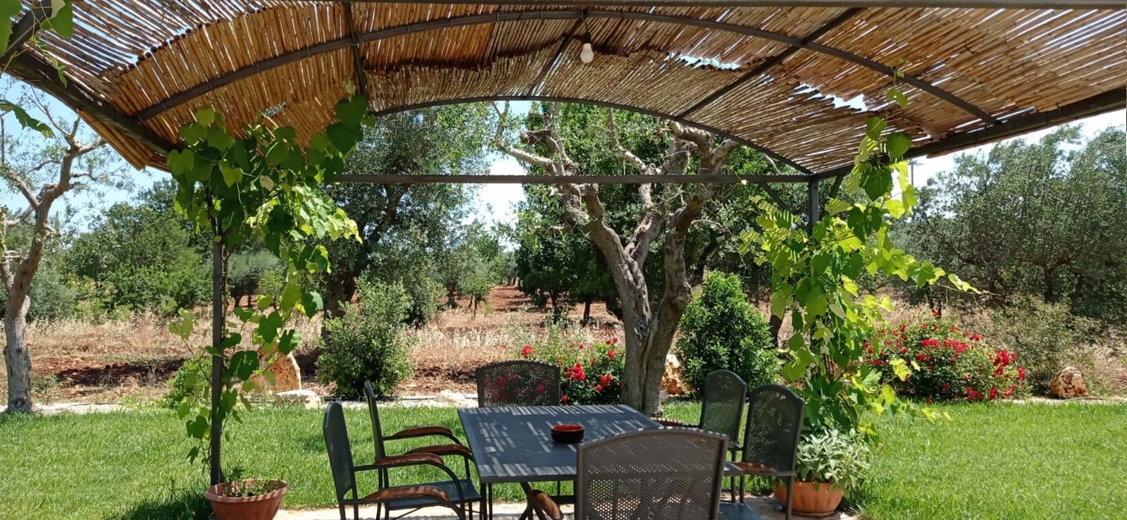 Trulli Pietre Del Sud-3