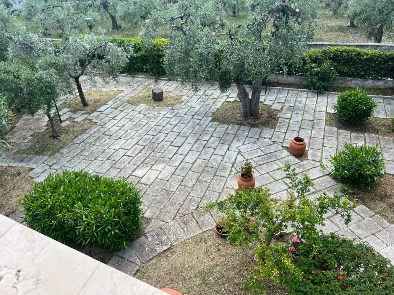 Macchia Del Gargano-5