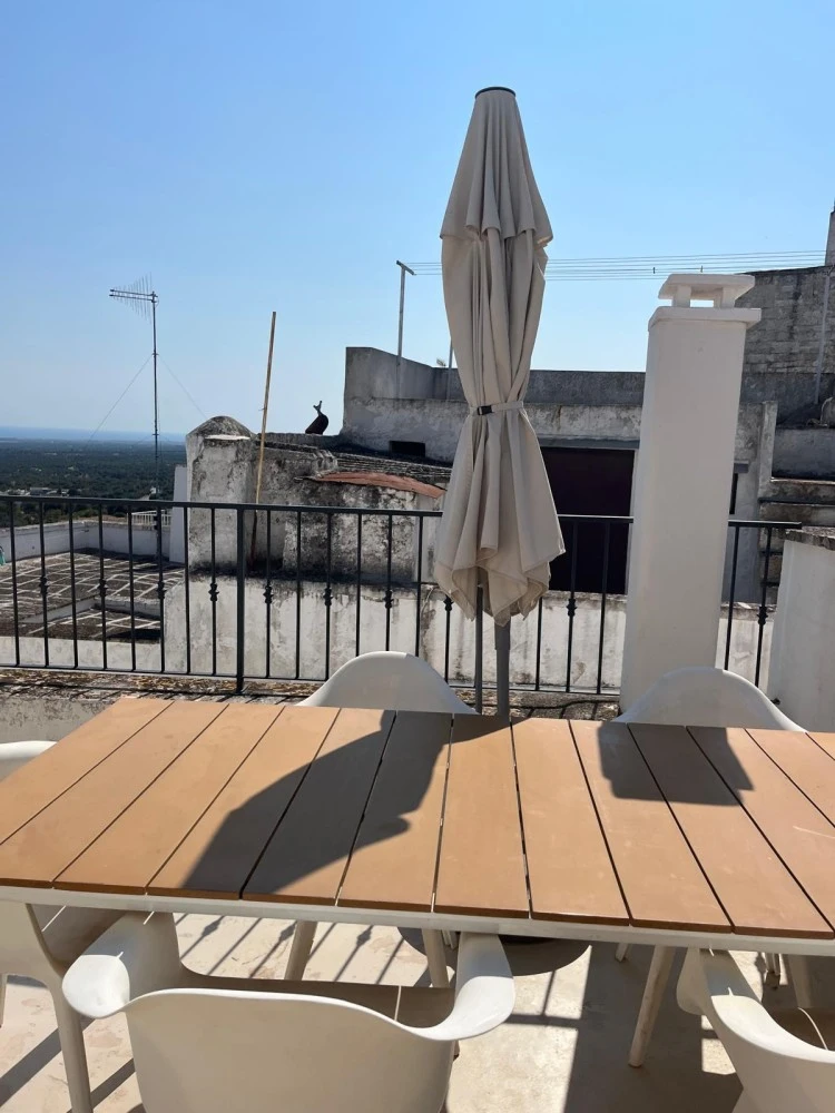 House The White Tulip-1