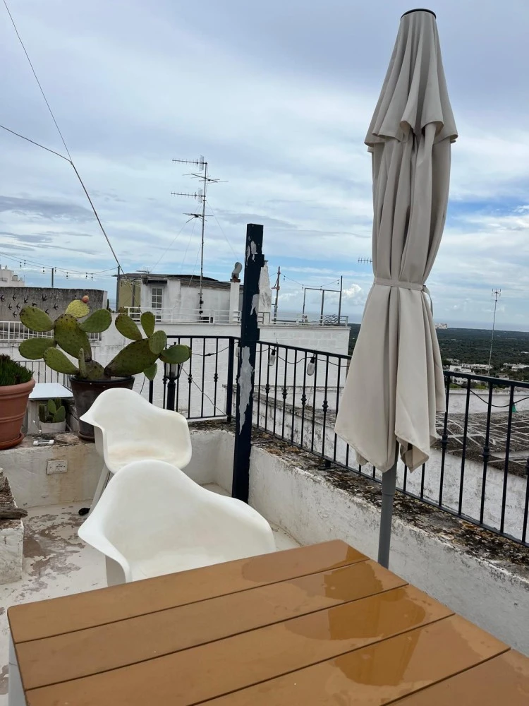 House The White Tulip-2