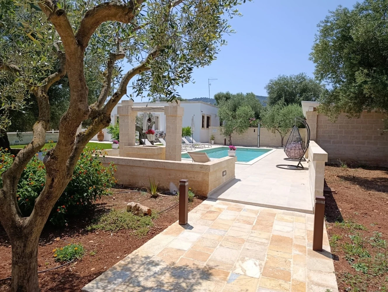 Terra Mater Di Zaccaria Daniela-1