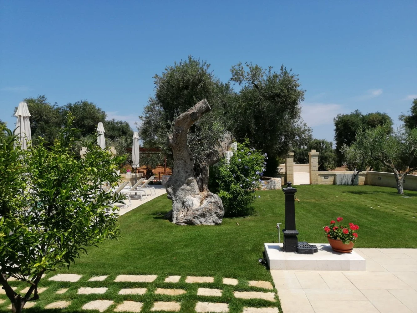 Terra Mater Di Zaccaria Daniela-3