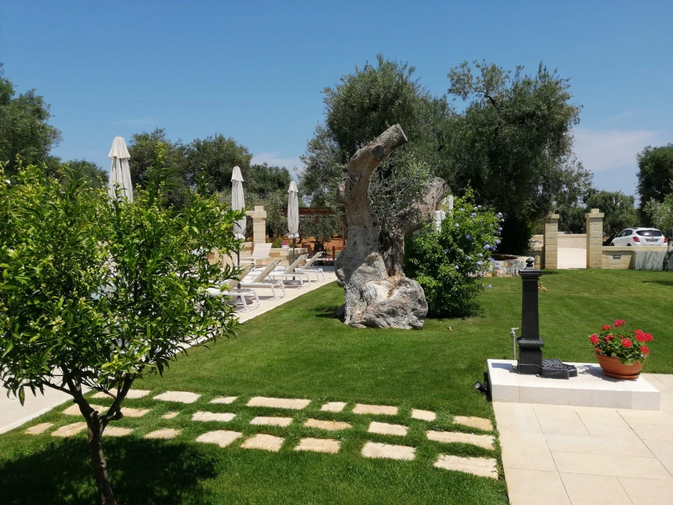 Terra Mater Di Zaccaria Daniela-5