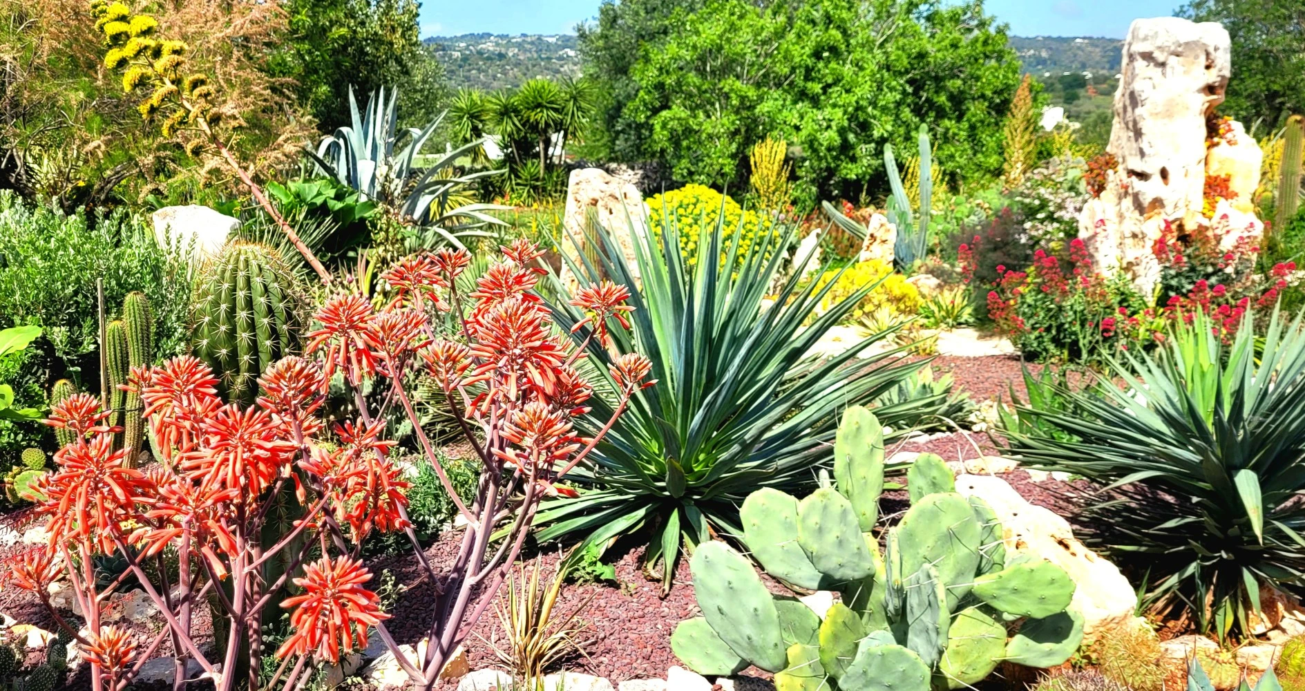 Trullo Bosco Libero Ostuni-4