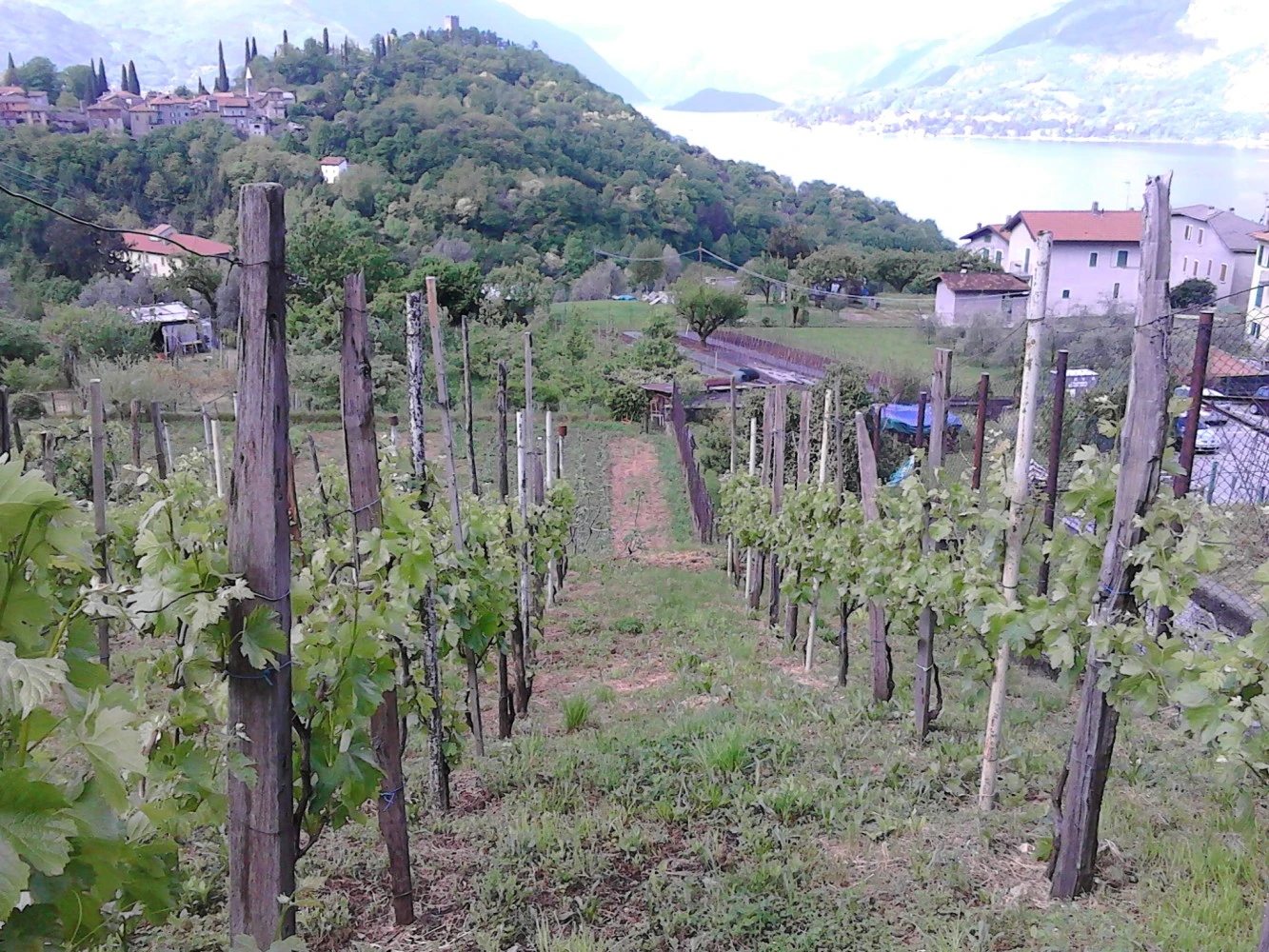 Agriturismo Conca Sandra-3