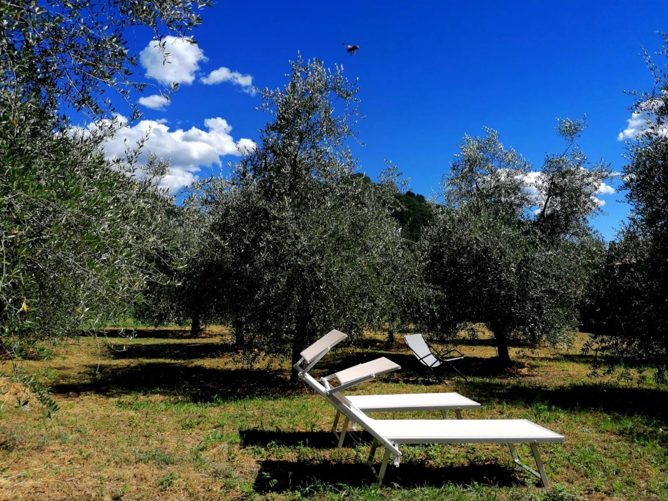 Agriturismo Conca Sandra-4