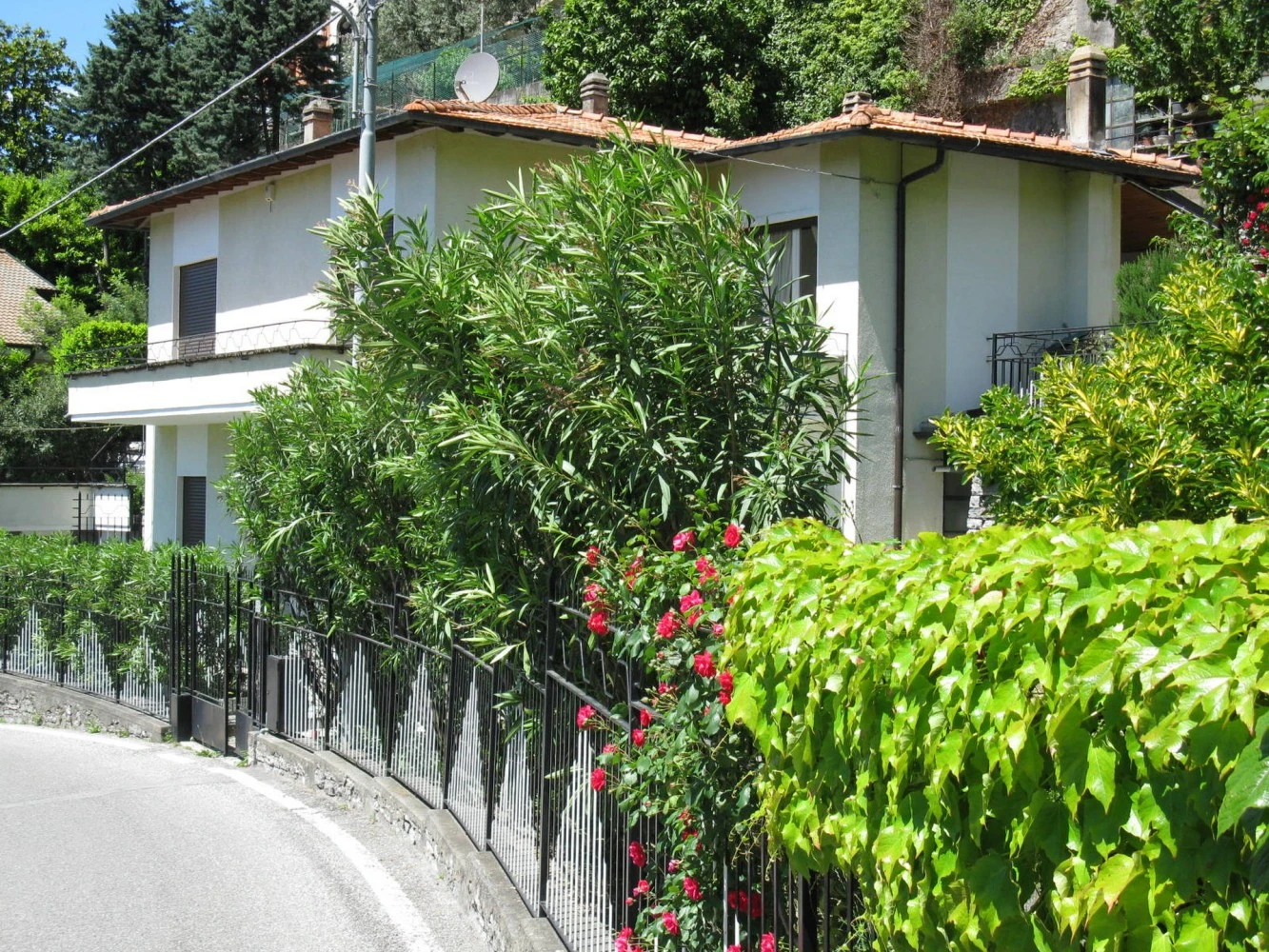 La Casa Degli Oleandri-1