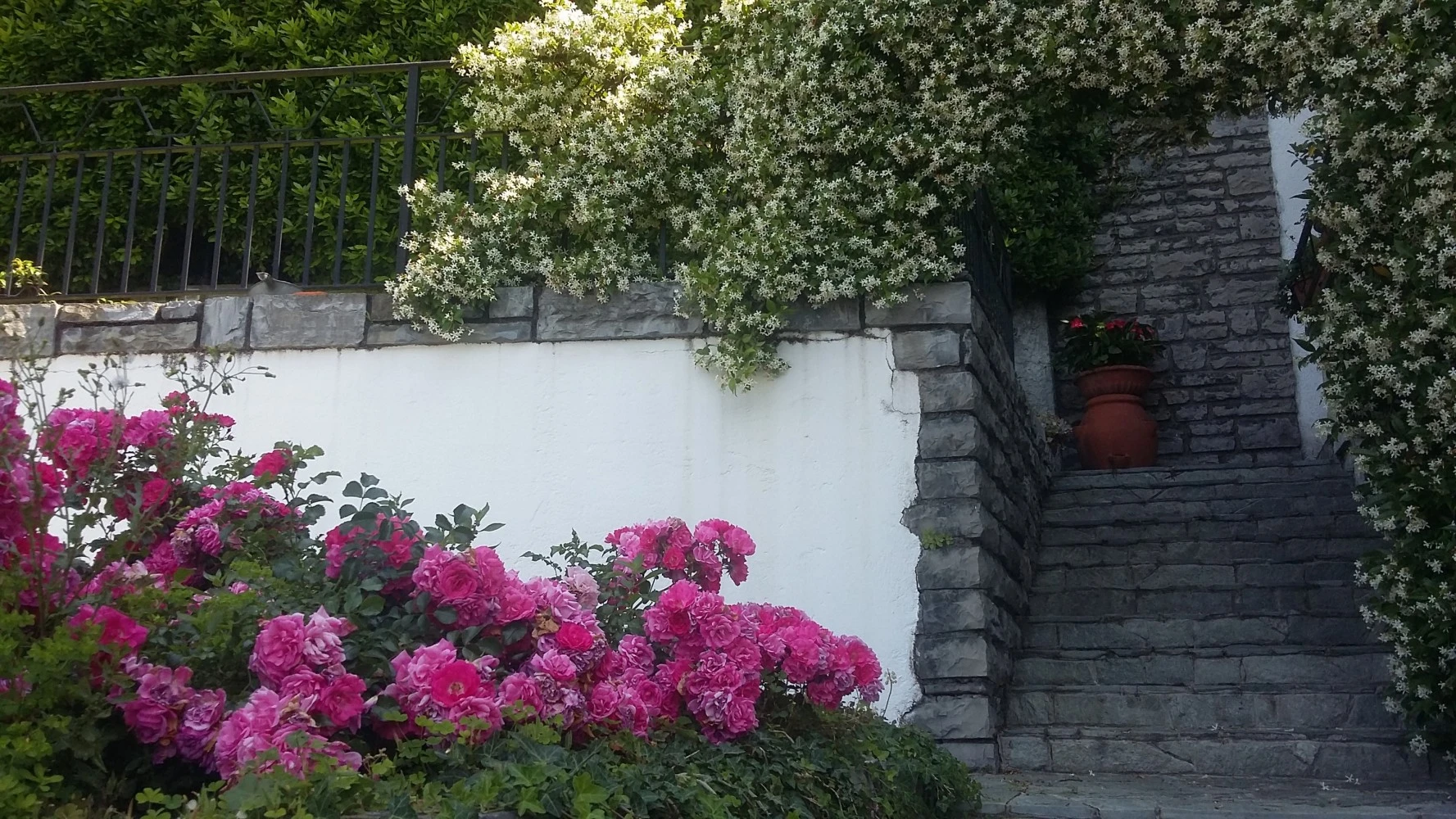 La Casa Degli Oleandri-2