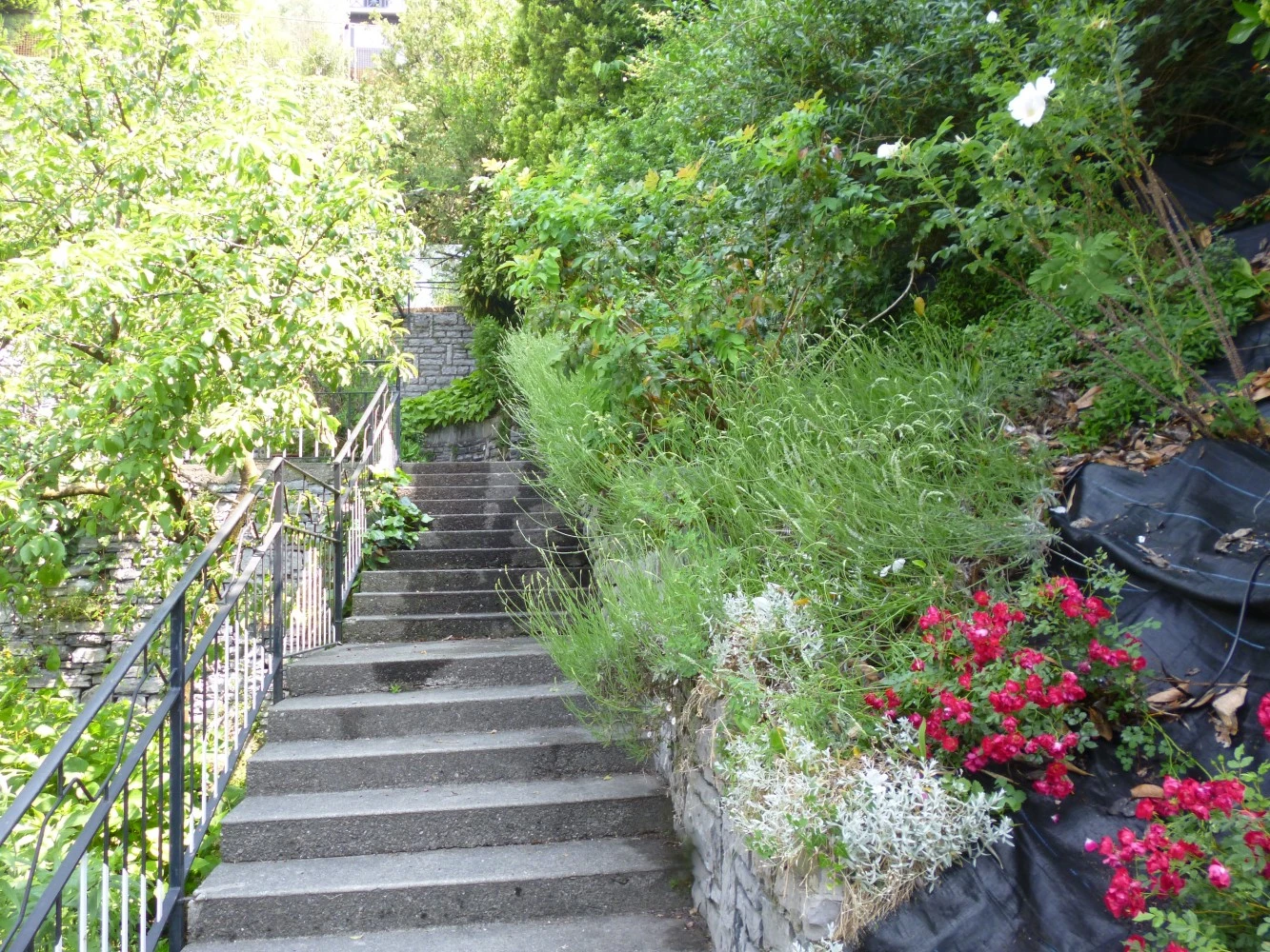 La Casa Degli Oleandri-4