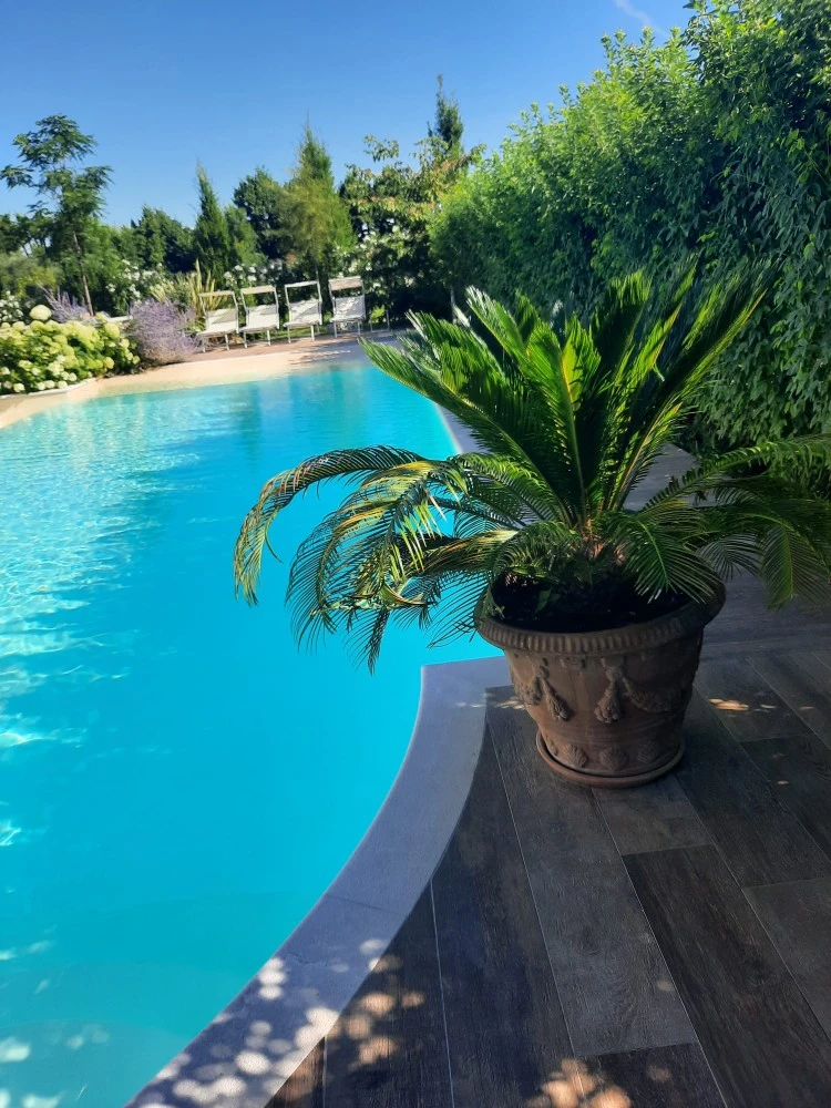 Appartamento Rita-5
