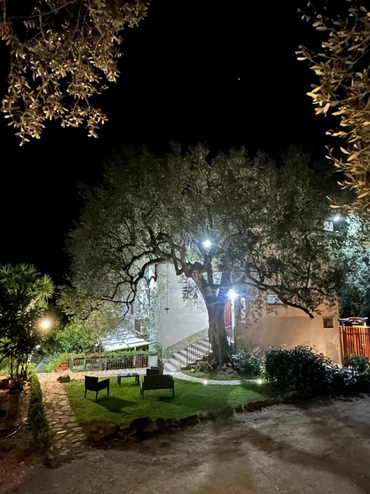 La Casa Del Maestro-1