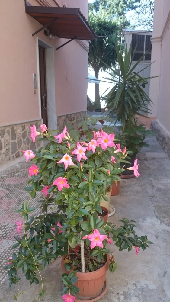 Stella Appartamento-1