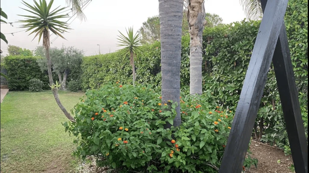 Endless Summer-2