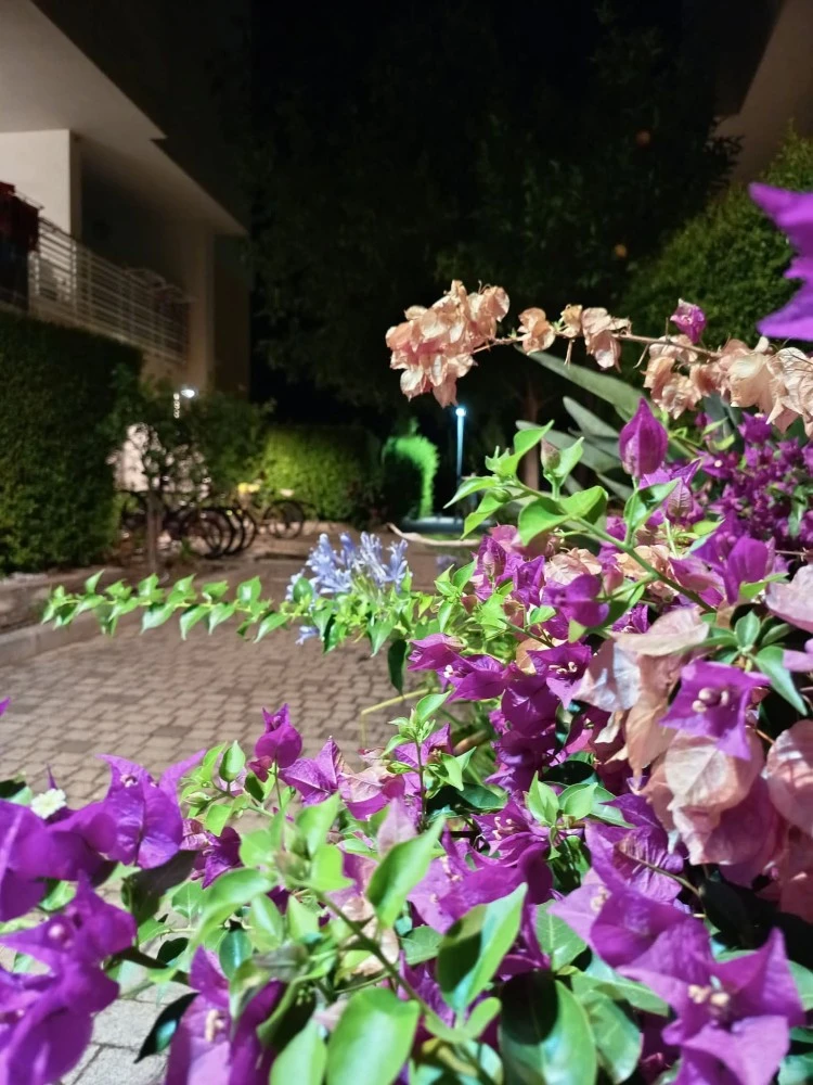 Appartamento Residence Olimpia-2