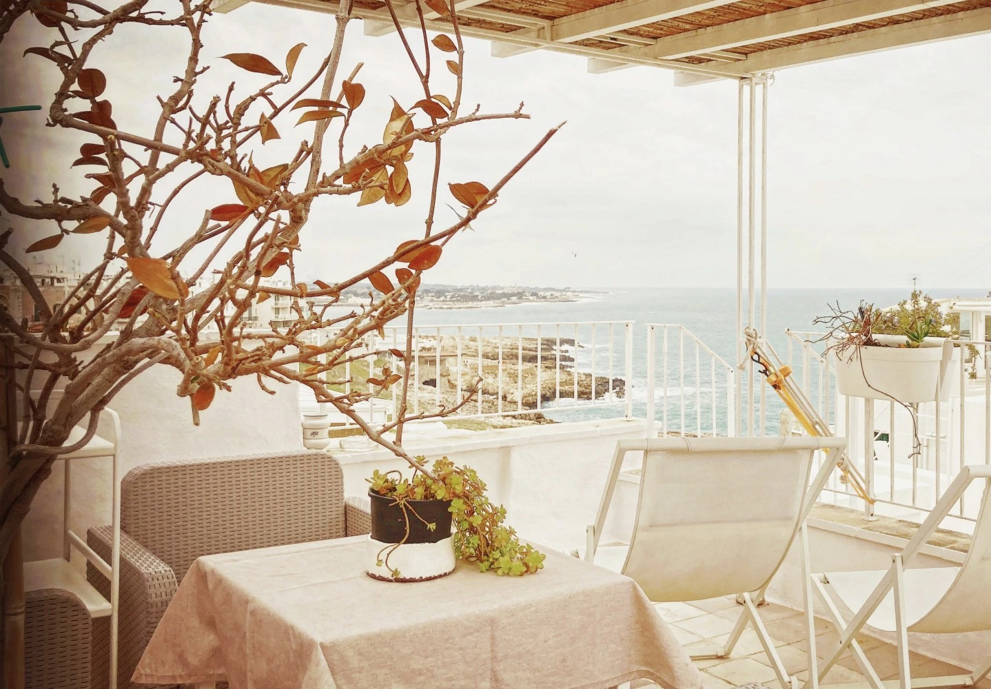 Casamare-2