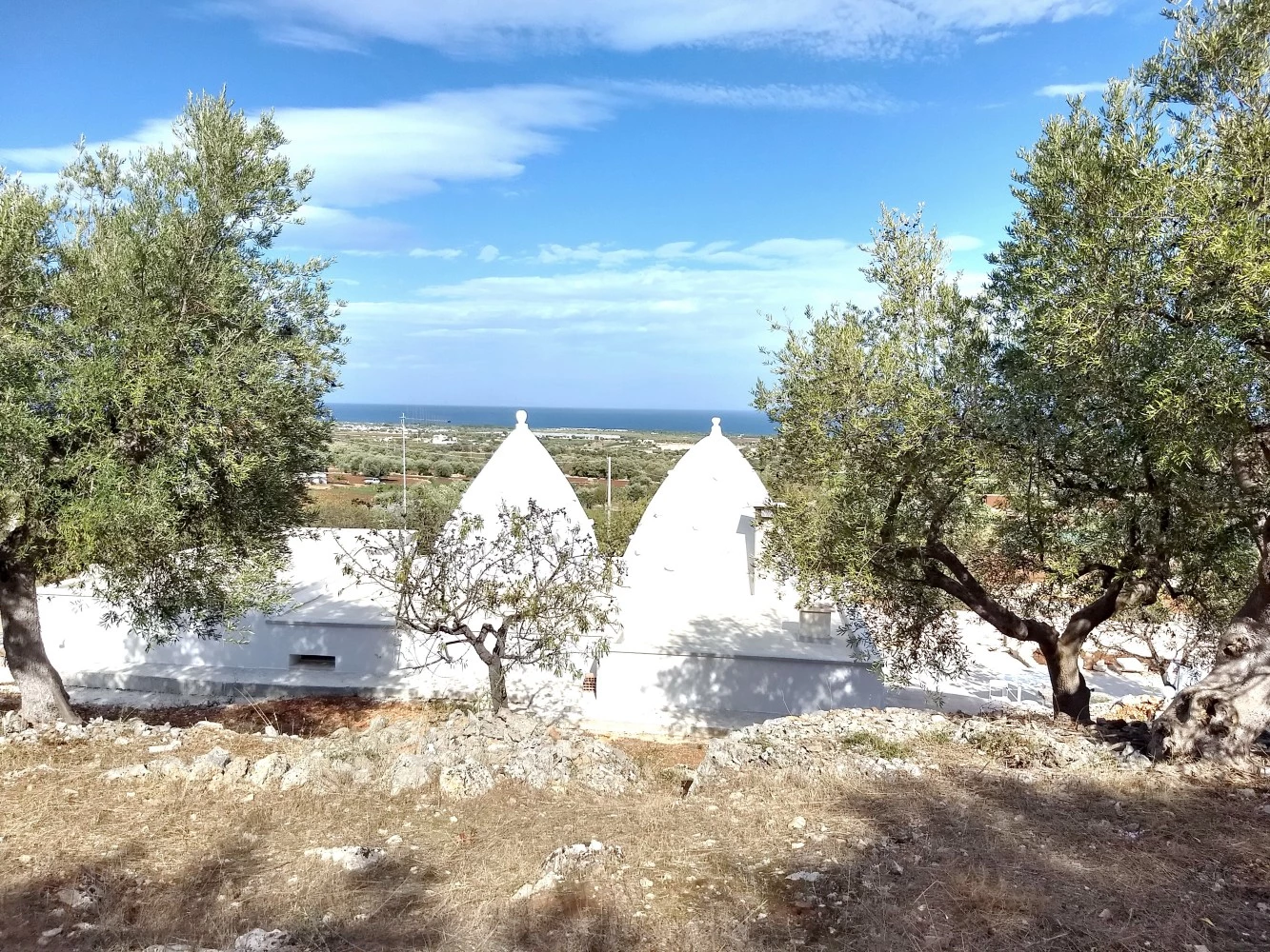 Villa Due Trulli Polignano A Mare-1