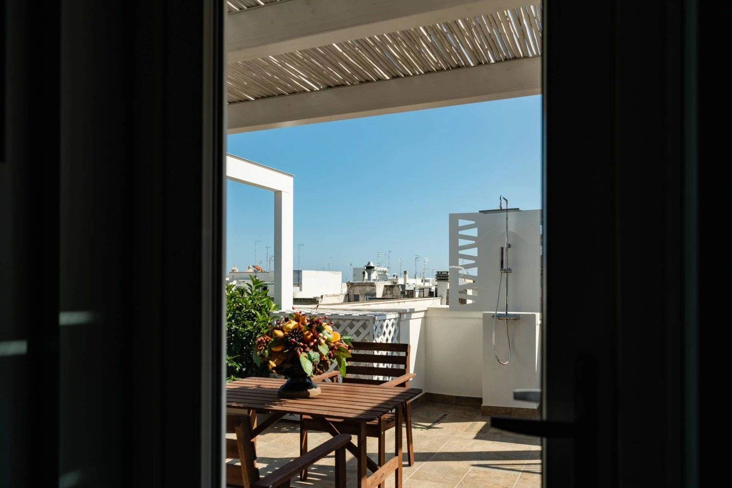 Suite Minerva-5