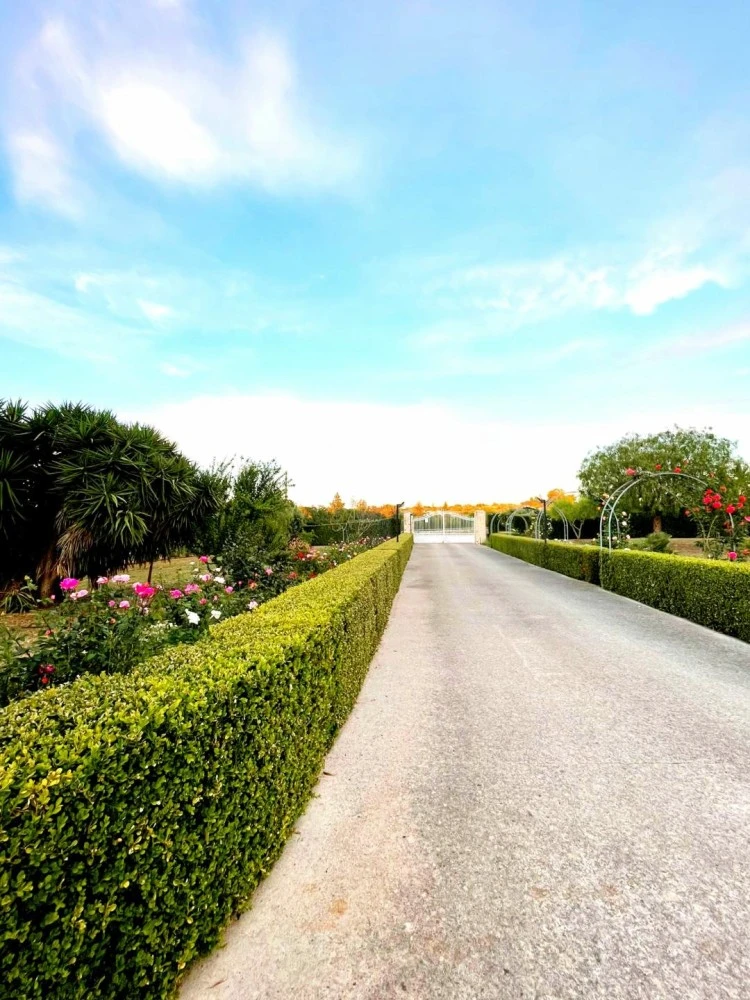 Casa Di Babette-3