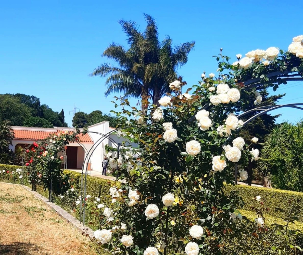 Casa Di Babette-4