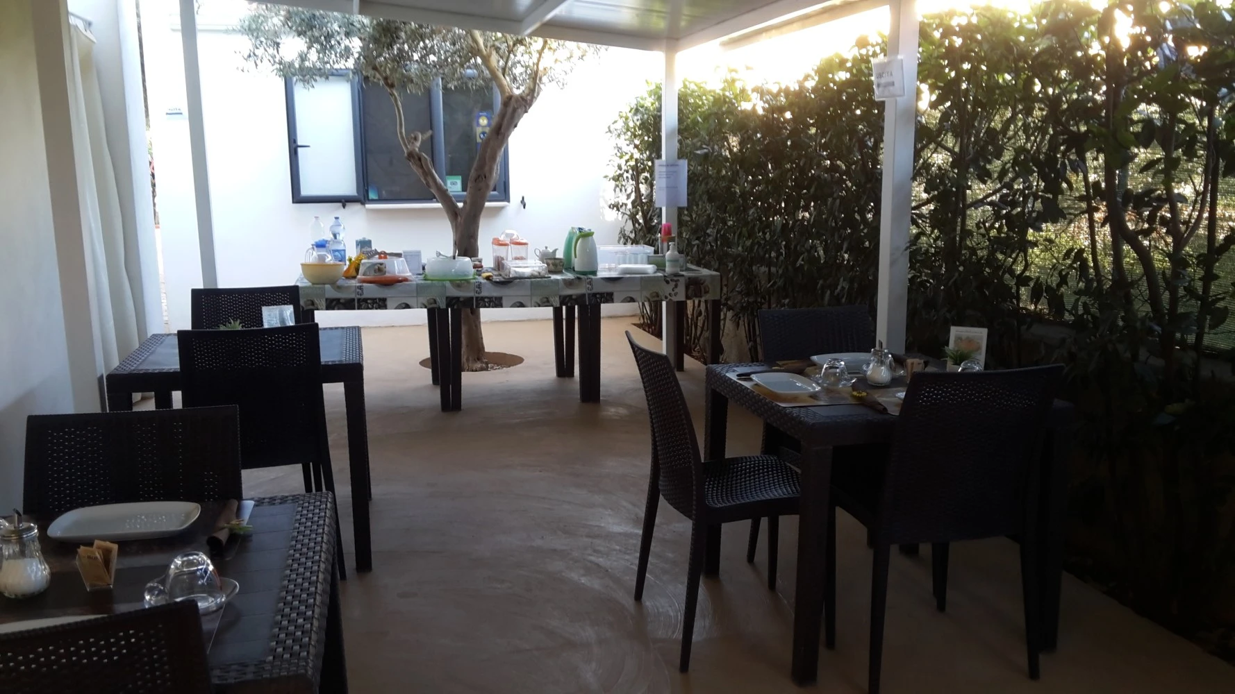 Bed & Breakfast L'ulivo Di Lu-3