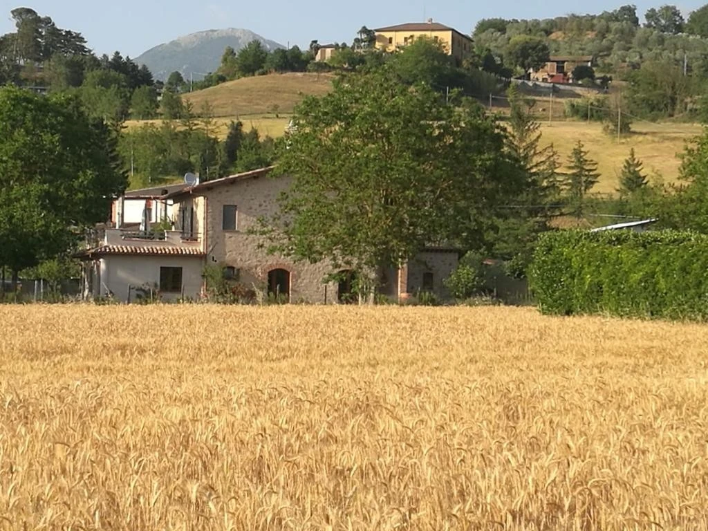 Il Casale Dei Nonni B&b-3