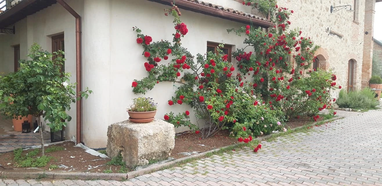 Il Casale Dei Nonni B&b-4