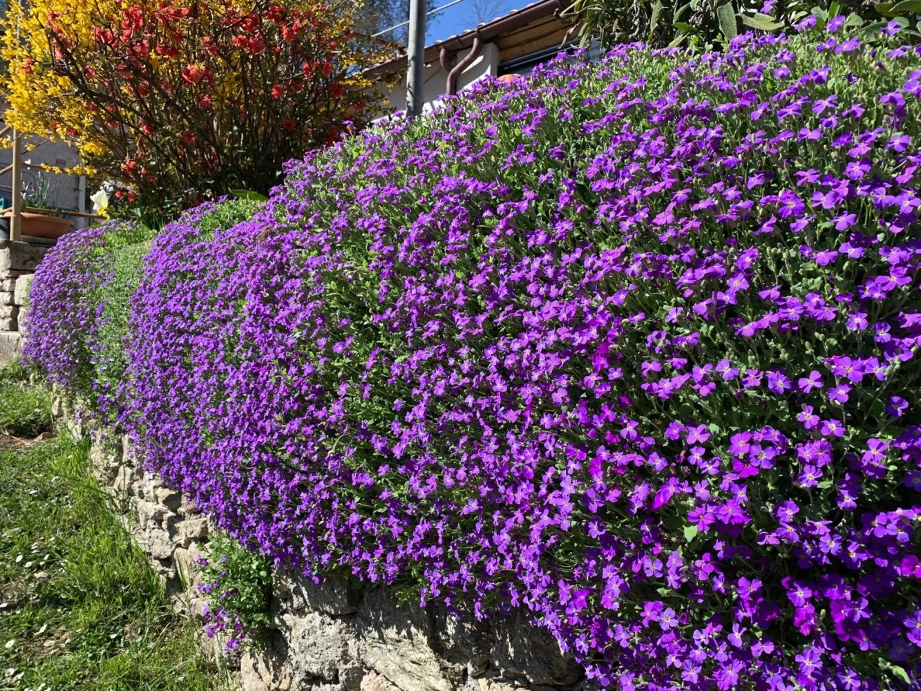 Tra Fiori E Antichità-2