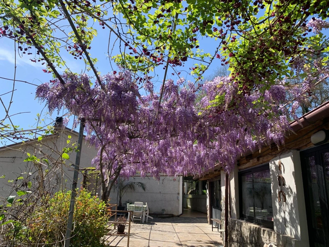 Tra Fiori E Antichità-4