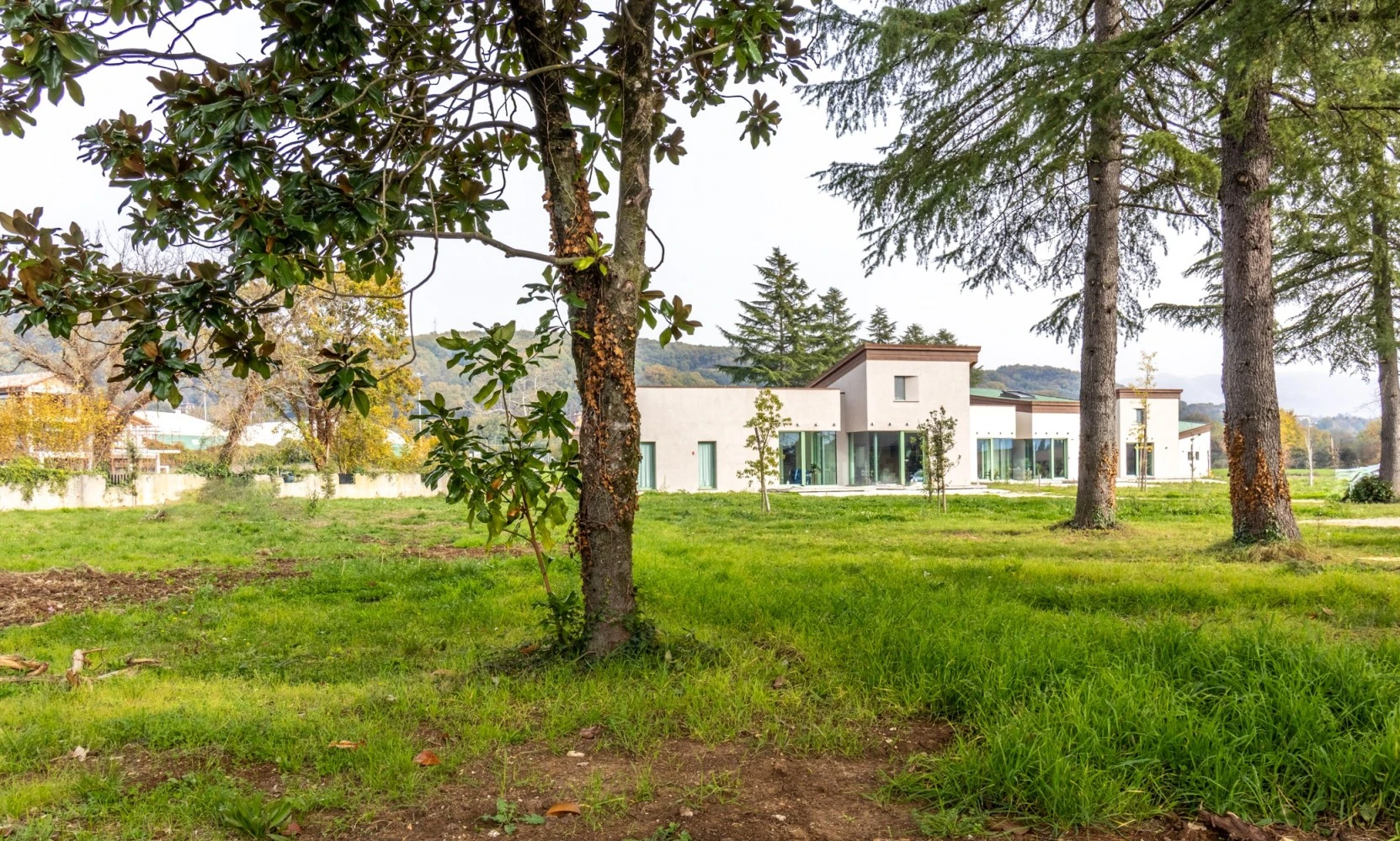 Nicolò E Gli Alberi Villino C-1