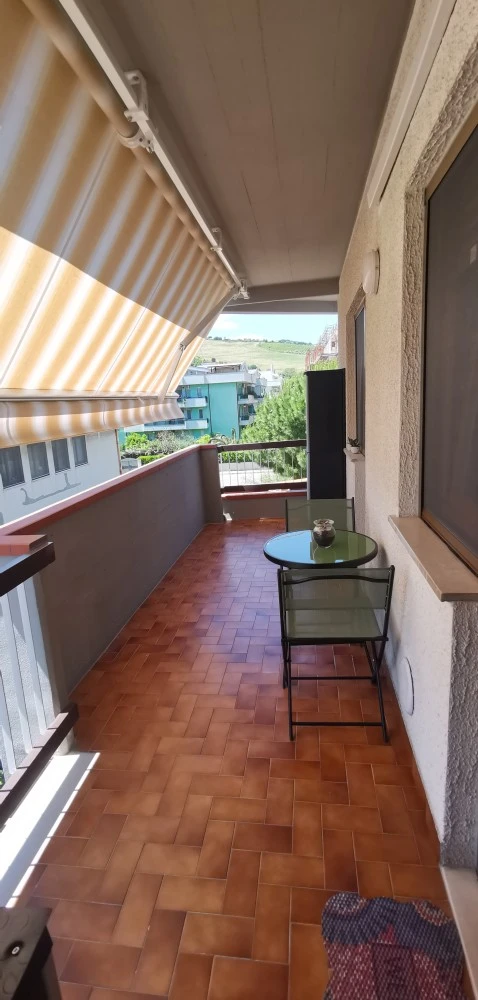 Casa Albatros-1