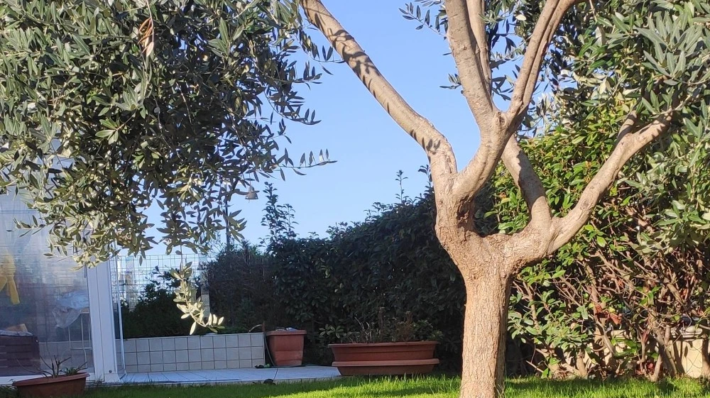 Casa Di Max-3