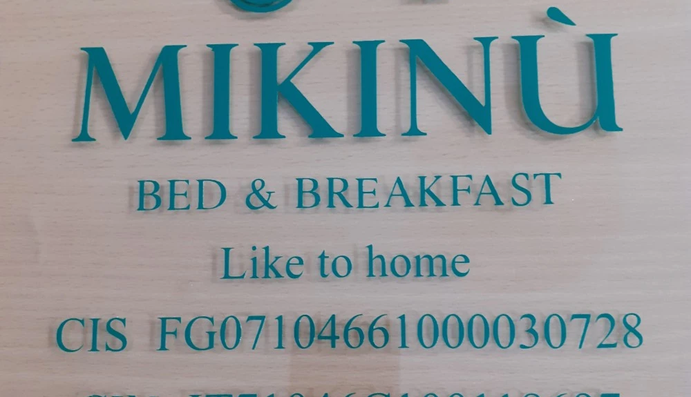 Mikinù-1