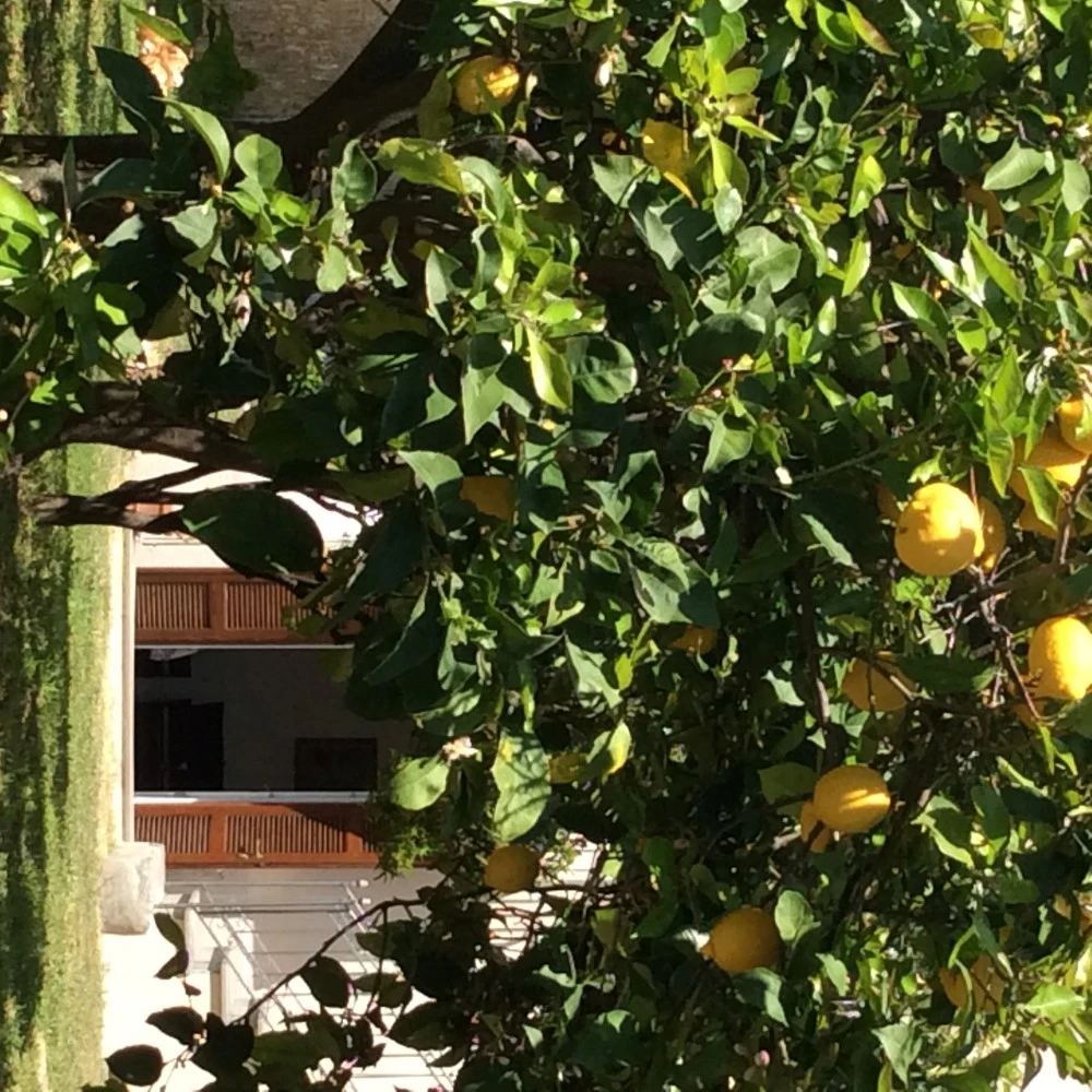 Villa Caterina