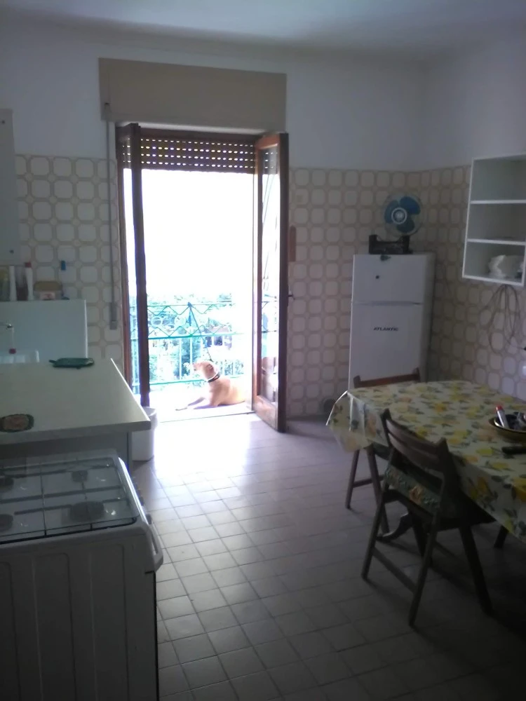 Da Francesco-3