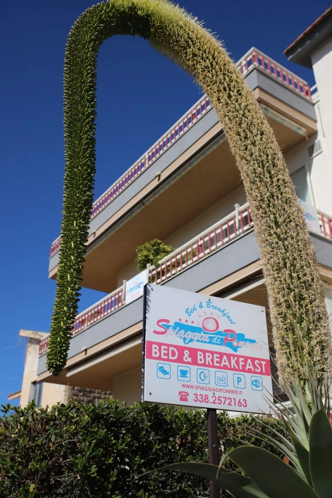 B&b Spiaggia Di Ponente-2